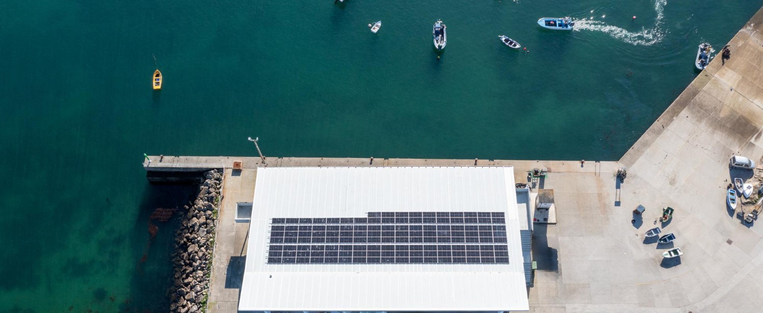 India’s First Major Port Runs Fully on Renewable Energy, Earns IGBC Platinum